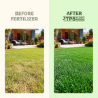 Pet Safe Lawn Fertilizer – Liquid Lawn Food for Greener Grass, Stronger Root Development & Safer Family Lawn Care, 32 oz