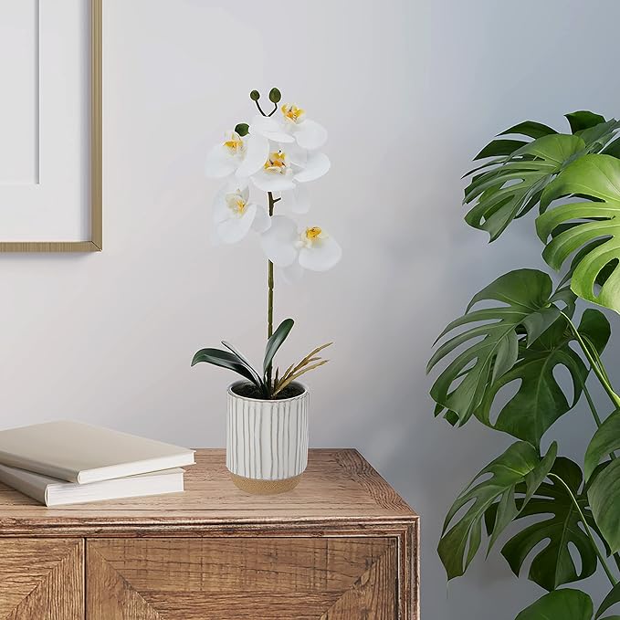 Mikasa Artificial Orchid in Pot, Real Touch Phalaenopsis Orchid, Cream Glaze Ceramic Pot, 16-Inch Single Branch, White/Yellow