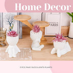 Der Rose 3 Pcs Fake Succulents Plants Artificial Pink Room Office Desk Decor for Women