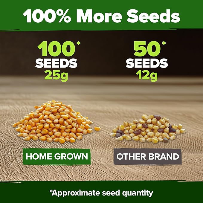 HOME GROWN Golden Bantam Sweet Corn Seeds 100+ Heirloom Non-GMO Seeds for Planting, High Germination, Yellow Kernel Corn on the Cob, Early Summer Harvest, Easy to Grow Home Garden Crop (Zea mays)