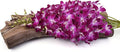 Just Orchids - Premium Long Stem Purple Dendrobium