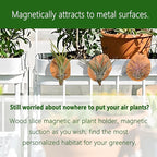 MITIME Magnetic air Plant Holder Refrigerator Sticker, Natural Wood Irregular Shape air Plant Wall Mount Holder. Refrigerator, Wall Decoration.Living Rooms, and Kitchens (Cypress Wood, 6)
