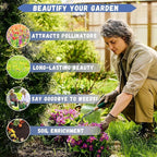 21000+ Creeping Thyme Seeds for Planting Outdoor-Perennial Non-GMO Thymus Serpyllum Magic Carpet Ground Cover Herb Plant in Home Garden