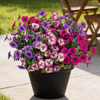 17 Inch Artificial Faux Pansy Flowers for Outdoor,Fake Pansies Flowers with Eucalyptus Leaves Fake Plants Greenery Boxwood Porch Patio Decor 6 Bundles(Light Purple,Rose White,Rose Red)