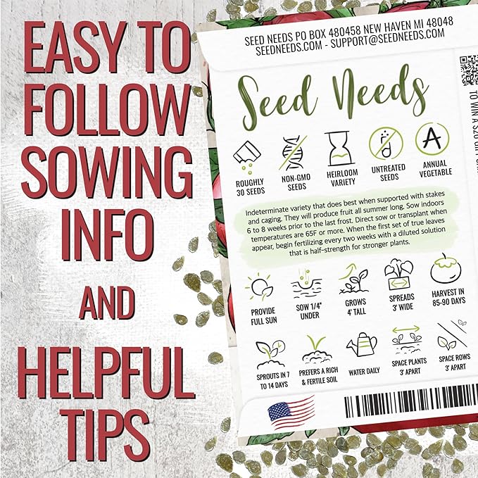 Seed Needs Tomato Seeds for Planting Indeterminate True Beefsteak Tomatoes - Non-GMO Heirloom & Untreated Vegetable Seed to Plant a Home Grown Outdoor Veggie Garden (1 Pack)