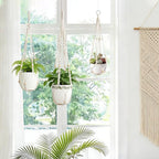 LEWESU 3 Pack Macrame Plant Hanger Indoor 3 Different Sizes Hanging Planter Basket Flower Pot Holder with Wood Beads & No Tassels for Boho Home Decor, 23, 30, 35 Inch, Ivory (Pot Not Included)