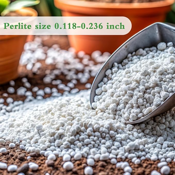 HAINANSTRY Organic Perlite for Plants, Enhances Soil Drainage and Aeration, Perfect Perlite for Plants Indoor & Outdoor, Horticultural Perlite for Gardening, Perfect for Potting Mixes, 2QT