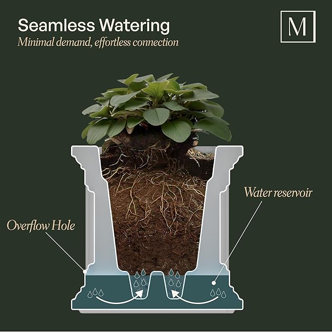 Mayne Cape Cod 20-Inch Square Planter – Self-Watering, Weather-Resistant Planter for Flowers – Durable Outdoor Design for Patio, Porch, or Entryway