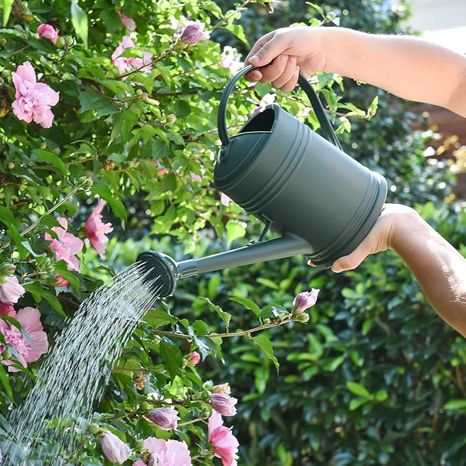 Plastic Watering Can for Indoor Plants Outdoor Garden Flowers - House Plant Watering Can with Sprinkler Head (1/2 Gallon, White)