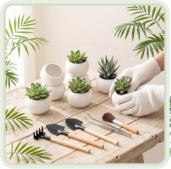 24 Pack 2.5 Inch Mini Succulent Plant Ceramic Pot with Drainage Hole, Small Pineapple Clay Garden Planter for Succulents, Cactus, DIY Easter Spring Craft Activity(White,Classic)