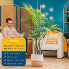 Costa Farms Cat Palm Live Plant in Plastic Pot, Large Indoor Houseplant, Perfect for Home, Room, or Office Decor, Great House Warming or Birthday Gift, 3-4 Feet Tall
