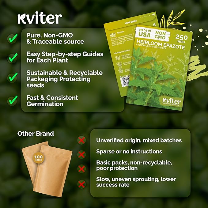 KVITER 250 Epazote Seeds (Chenopodium Ambrosoides) - Semilla de Epazote Mexicano Heirloom Seeds, Apazote Planta Seed for Planting - High Germination Rate, Ideal for Herb Garden