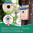 Dreyoo Cedar Bluebird Box Houses for Outside, 1-1/2'' Entrance Hole Wooden Bird Houses with Metal Guard, Secure Latch, Fledgling Grooves, Air Vents for Bluebird Wren Swallow (2 Pack)
