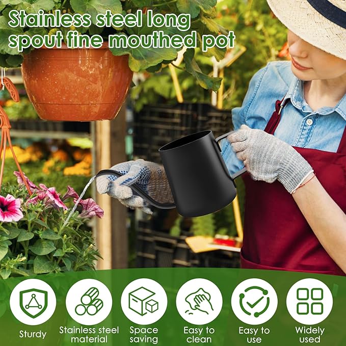 12oz/350ml Stainless Steel Plant Watering Pot,Small Watering Can for Indoor Plants,Mini Watering Can with Long Mouth & Ergonomic Handle for Indoor House Plants Flower Bonsai Outdoor Garden(Black)