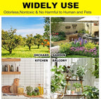 36PCS Fruit Fly Sticky Traps Fungus Gnat Traps Insect Trap for Plants Kitchen Indoor Outdoor White Flies Mosquitos Fungus Gnats Flying Insects Houseplant Gifts (Apple Shape)