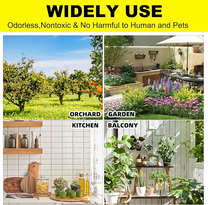 36PCS Fruit Fly Sticky Traps Fungus Gnat Traps Insect Trap for Plants Kitchen Indoor Outdoor White Flies Mosquitos Fungus Gnats Flying Insects Houseplant Gifts (Apple Shape)