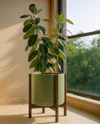 D'vine Dev Ceramic Planter with Walnut Color Stand - 14 Inch Modern Round Flower Pot with Wood Planter Holder, Olive, 55-B-T-J