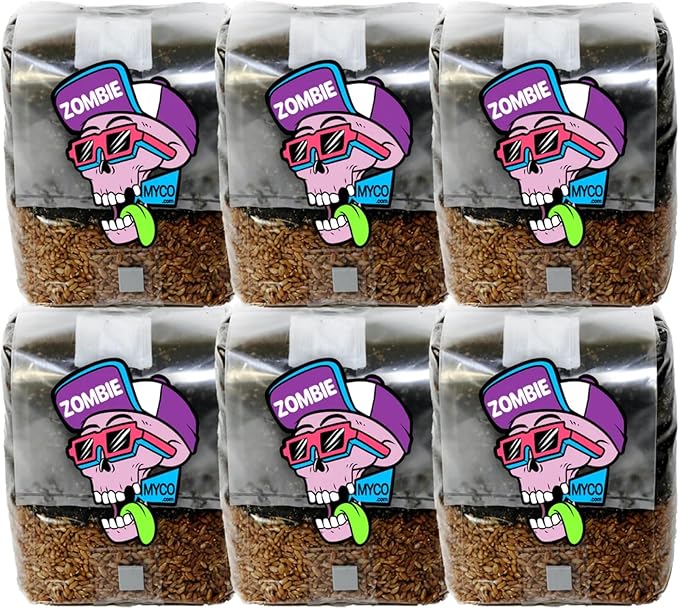 All-in-One Mushroom Grow Kit (6-Pack) – 3lb Mini Bags with Sterilized Grain and CVG Substrate, Injection Ports Included, for Growing Mushrooms at Home (Spores Not Included)