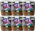 All-in-One Mushroom Grow Kit (6-Pack) – 3lb Mini Bags with Sterilized Grain and CVG Substrate, Injection Ports Included, for Growing Mushrooms at Home (Spores Not Included)