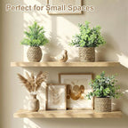 Small Fake Potted Plants: 9 Inches Artificial Plants with Seagrass Handwoven Planters, Indoor Farmhouse Decorations, Eucalyptus Plant for Home Bathroom Office Shelf Tabletop Desk Room Decor