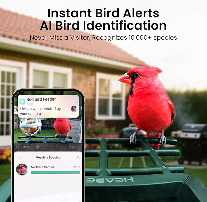 Bird Feeder with Camera Solar Powered 2K HD Video, 10,000+ Species AI Recognition, Real-Time App Alerts, and Weatherproof Design for Effortless Birdwatching, Gift for Father's Day, Grass Green