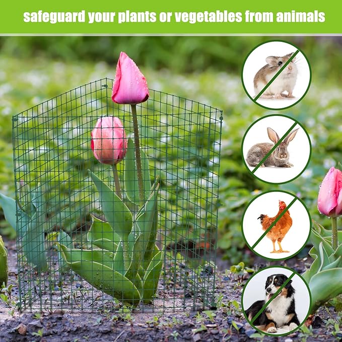 Zubebe 10 Pack Small Wire Plant Protectors Square Plant Protectors from Animals Mesh Cage Chicken Wire Cloche for Shrubs with Ground Stakes and Nylon Ties(Thickness 1mm,Dark Green)