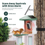 HARYMOR Bird Feeder with Camera with AI Identify Birds Species Solar Powered, Smart Bird House with Cam, 2K HD Video Live Stream, Instant Arrival Alerts - Green