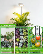 yadoker Plant Grow Light, LED Growing Light Full Spectrum for Indoor Plants,White Magnifying Glass Plant Lights,Height Adjustable, Automatic Timer, 5V Low Safe Voltage,Idea for Large
