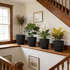 UOUZ 8 Inch Plant Pots, 4 Pack Plastic Planters for Indoor Outdoor with Drainage Holes & Saucers, Waffle Texture Flower Pots for Indoor Plants, Indoor Plant Pots for Monstera, Fiddle Leaf Fig, Black