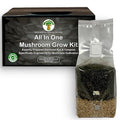 MycoHaus Mushroom All in One Growing Kit with Injection Ports | Indoor Grow Bags for Mushrooms | Home Cultivation Supplies | Without Spores | 8 Pack