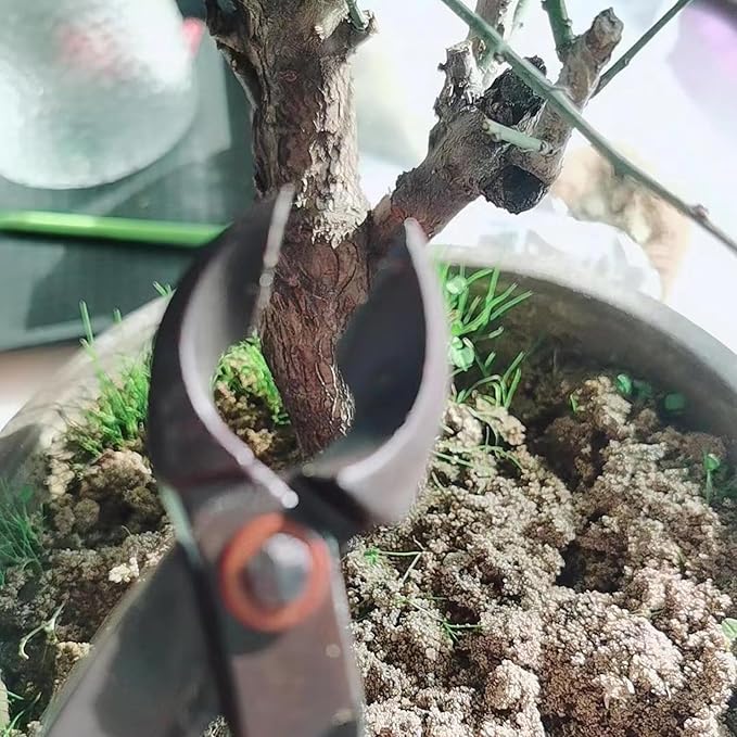 Bonsai Tools, Concave Branch Cutter 8 Inch Carbon Steel Cutter Bonsai Tree Tools for Gardening