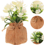 Faux Phalaenopsis Orchid Bonsai in Pot, Realistic Fake Orchid Flowers White Spray, Home Decor Artificial Phalaenopsis for Living Room and Office Table Display