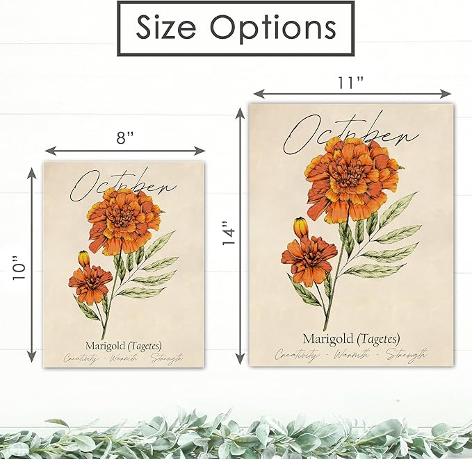 October Birth Flower Art Print - 8x10 (Unframed) | Capturing the Splendor of the October Birth Flower | Decor Accent for Birthdays and Special Occasions | Living Room Décor | Modern Home Décor