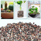 2.5lbs Mix Horticultural Lava Rock for Plants, 1/5 Inch Potting Soil Amendment for Succulents, Cactus & Bonsai, Decorative Volcanic Gravel for Terrarium, Drainage Gritty Rock, Top Dressing