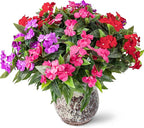 Nigirior Artificial Fake Flowers for Outdoor Décor 6 Bundles UV Resistant Fake Plants for Planter Faux Impatiens for Home Porch/Garden Stunning（Red/Rose Red/Purple）