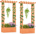 LDAILY Raised Garden Bed with Trellis, Above Ground Garden Bed with Hanging Roof, Side Trellis, & Drainage Holes, Planter Box for Outdoor Climbing Plants Vines Flowers (2, 31" L x 14" W x 60" H)