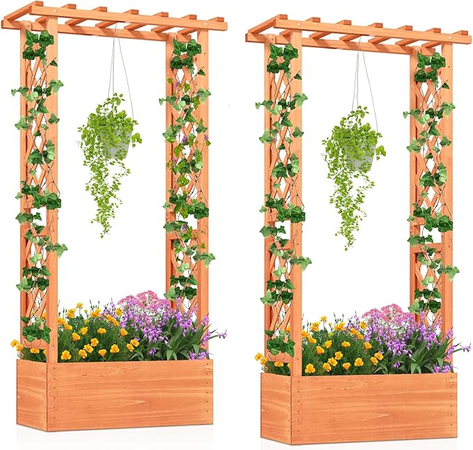 LDAILY Raised Garden Bed with Trellis, Above Ground Garden Bed with Hanging Roof, Side Trellis, & Drainage Holes, Planter Box for Outdoor Climbing Plants Vines Flowers (2, 31" L x 14" W x 60" H)