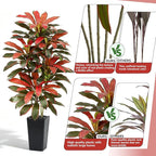Artificial Red Dracaena Tree - 6FT Tall Fake Plants with Black Square Planter - Artificial Plants Indoor Floor Plant in Pot - Large Tropical Fake Yucca Potted Tree for Home Office Living Room Decor
