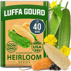 HOME GROWN Luffa Seeds 40 Heirloom Non-GMO Loofah Gourd Seeds for Planting, High Germination, Grow Your Own Natural Bath Sponges, Edible Vining Vegetable Garden, Harvest Young Gourd (Luffa aegyptiaca)