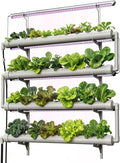 NFT Hydroponics Growing System，36 Pods Wall-Mounted Indoor Garden，Full Spectrum Grow Lights and Powerful Water Recycling System，Opaque PVC-U Hydroponic Pipes，Suitable for Leafy Greens