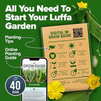 HOME GROWN Luffa Seeds 40 Heirloom Non-GMO Loofah Gourd Seeds for Planting, High Germination, Grow Your Own Natural Bath Sponges, Edible Vining Vegetable Garden, Harvest Young Gourd (Luffa aegyptiaca)