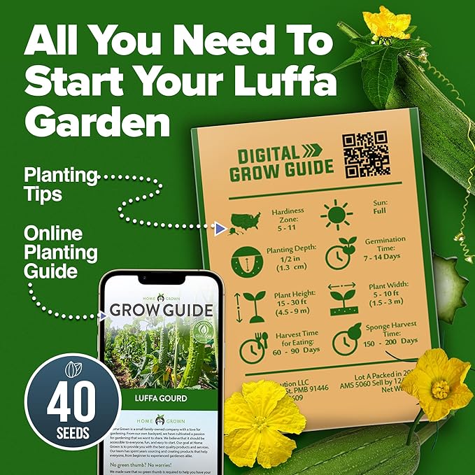 HOME GROWN Luffa Seeds 40 Heirloom Non-GMO Loofah Gourd Seeds for Planting, High Germination, Grow Your Own Natural Bath Sponges, Edible Vining Vegetable Garden, Harvest Young Gourd (Luffa aegyptiaca)