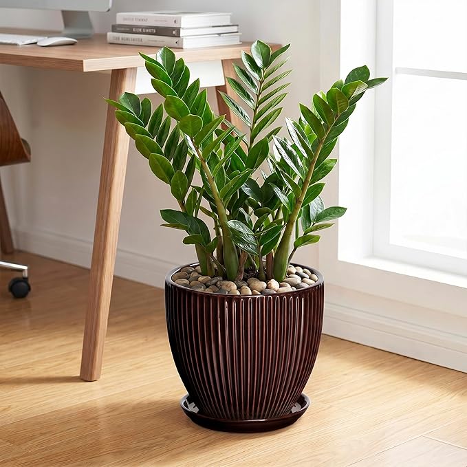 Ceramic Pots for Plants 10 Inch, Indoor Planter with Drainage Hole and Saucer, Large Round Decorative Ceramic Plant Pots, Modern Flower Planter, Patio Room Decor, Gifts for Plant Lovers, Brown