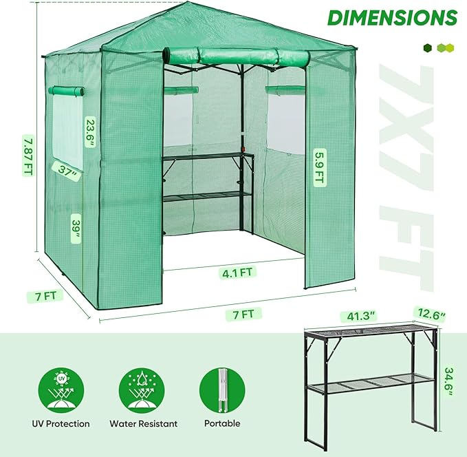 EAGLE PEAK 7x7 Portable Walk in Greenhouse, Pop Up Indoor Outdoor Greenhouse, Green House Kit with Zippered Roll-Up Doors and Windows + Mesh Lining & 2 Foldable Shelves, PE Cover, Clear/Green