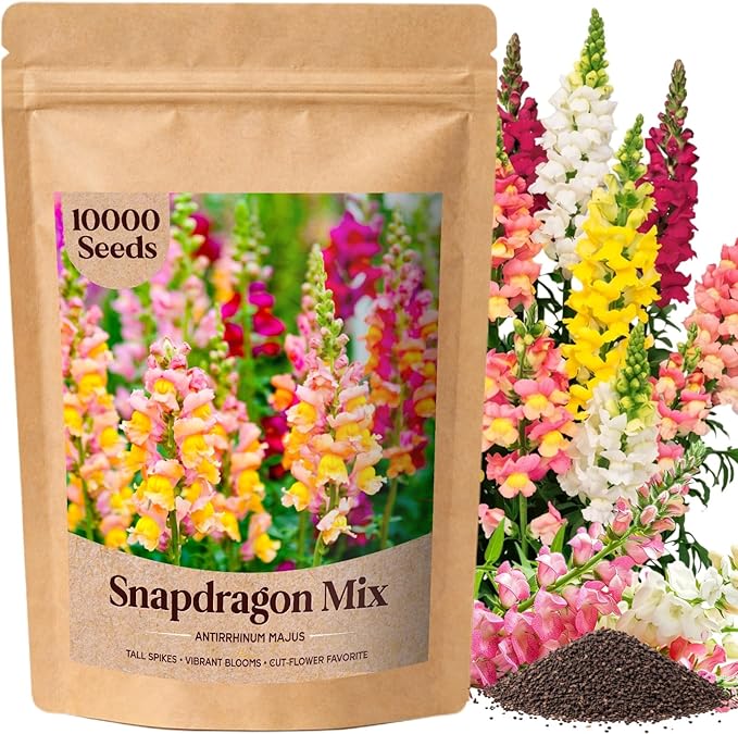 10000+ Snapdragon Seeds Bulk Pack, 5-Color Mixed Snapdragon Flower Seeds for Planting, Antirrhinum Majus Seeds for Borders, Pots, Flower Beds & Cut Flower Gardens, Instructions Included