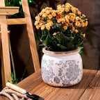 Dosayes Flower Pot,Vintage Gray Ceramic Pot for Planter with Drainage Holes, 6.29 inch Ice Crack Glazed Small Rustic Planters Pot for Indoor,Tucan Home Decor,Gardening Gifts