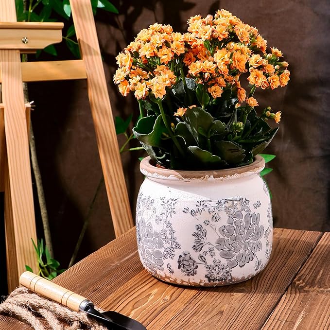 Dosayes Flower Pot,Vintage Gray Ceramic Pot for Planter with Drainage Holes, 6.29 inch Ice Crack Glazed Small Rustic Planters Pot for Indoor,Tucan Home Decor,Gardening Gifts
