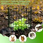 15Pcs Plant Protector from Animals: 5 Pack Metal Mesh Plant Cages to Keep Animals Out - Garden Protection Bunny Barricades from Chicken Squirrels Rabbits for Flowers Vegetables