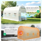KING BIRD Premium 10x6.6x6.6FT Greenhouse for Outdoors, Large Walk-in Heavy Duty Galvanized Steel Frame, Mesh Door Screen Window Upgraded Zipper Tunnel Hoop for Garden Plant Winter, White