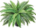 Fake Ferns Potted Plant, Artificial Boston Ferns in Pot, 34 Leaves for Outdoors & Indoor Faux Boston Bush Plant Artificial Greenery Patio Garden Farmhouse Windowsill Porch Home Decor
